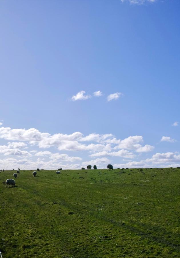Am Horumertief Schillig Exteriör bild